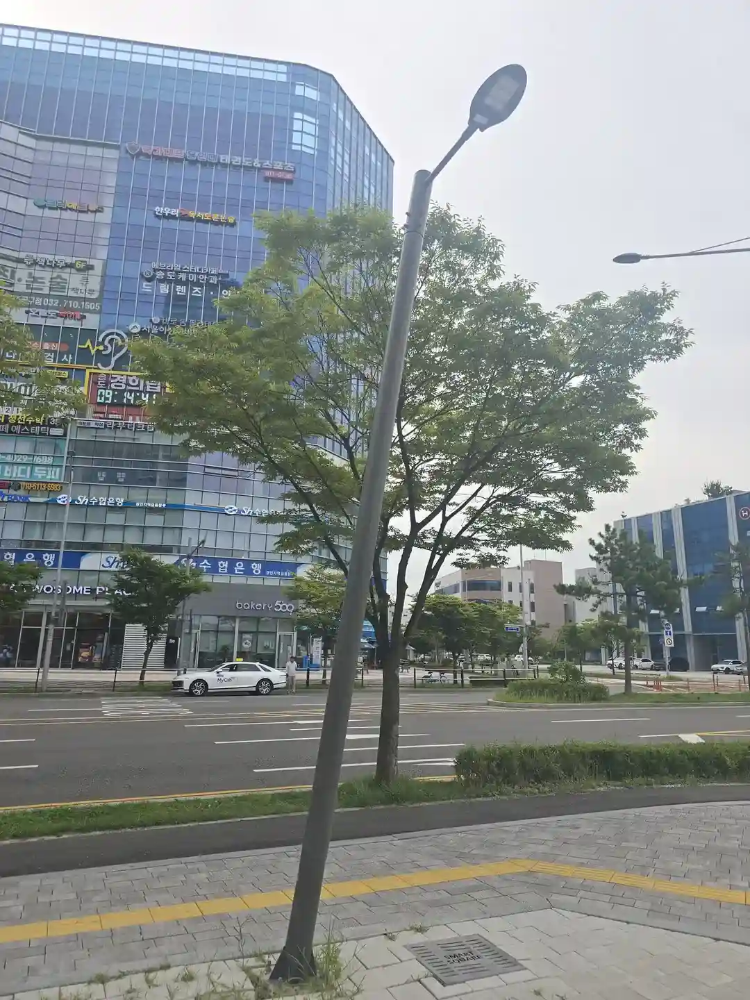 송파 상업지구 도로변 완료 가로등